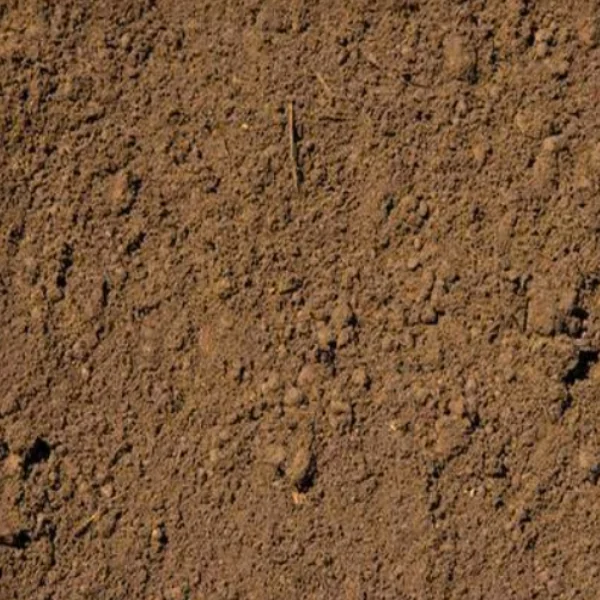 Screened Topsoil