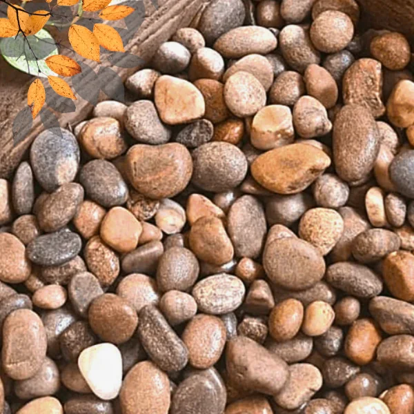 Scottish Pebbles 20mm