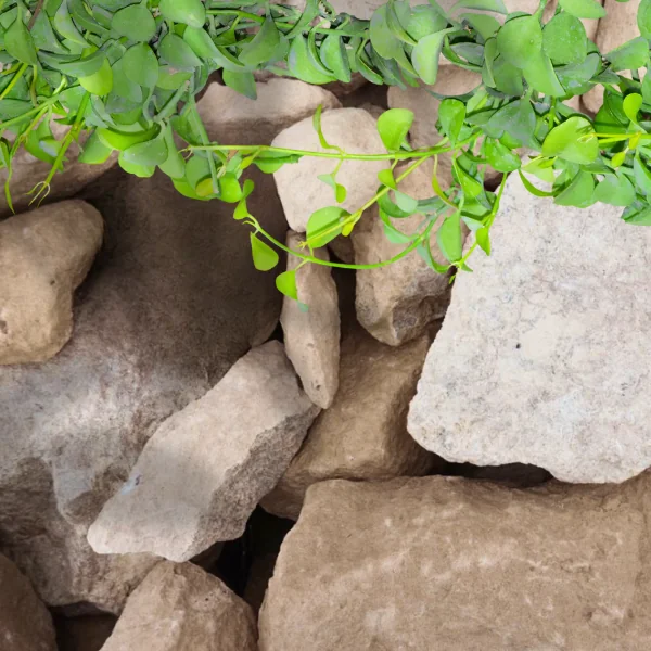 Harvest Buff Gabion Stone 75-275mm 