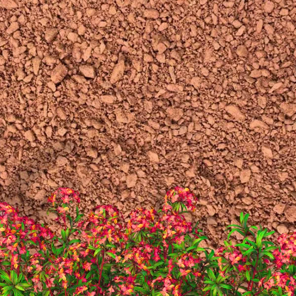 Forest Rose Path Topping