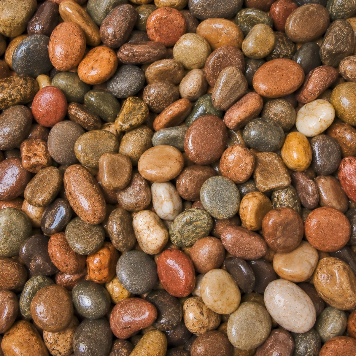 Scottish Pebbles 20-40mm