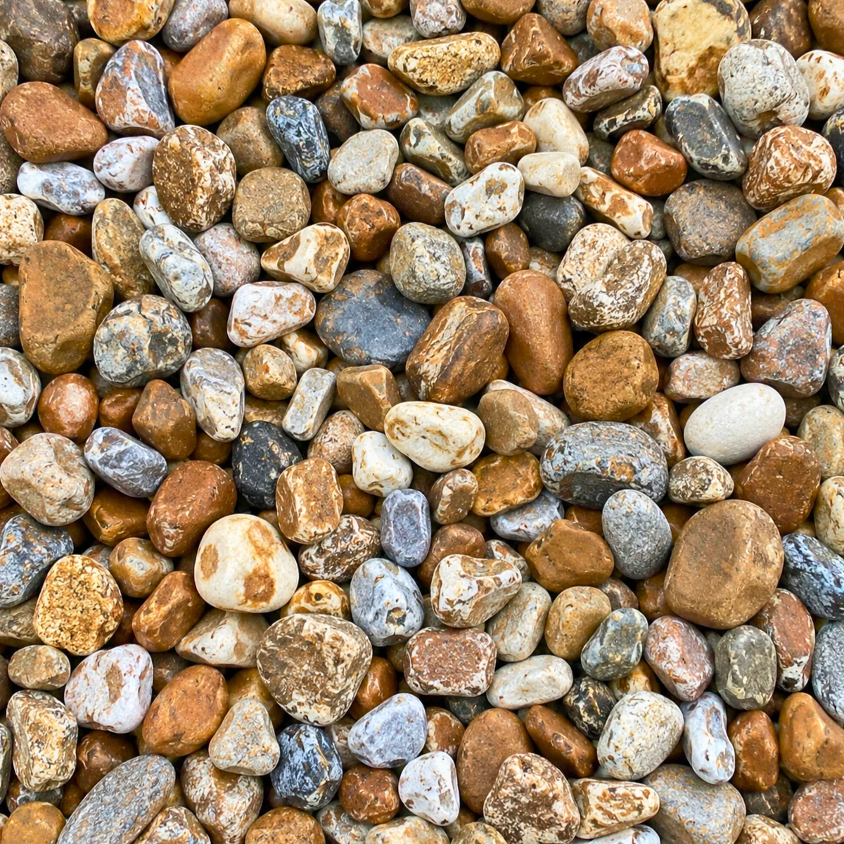 Lydd Beach Pebbles 20mm