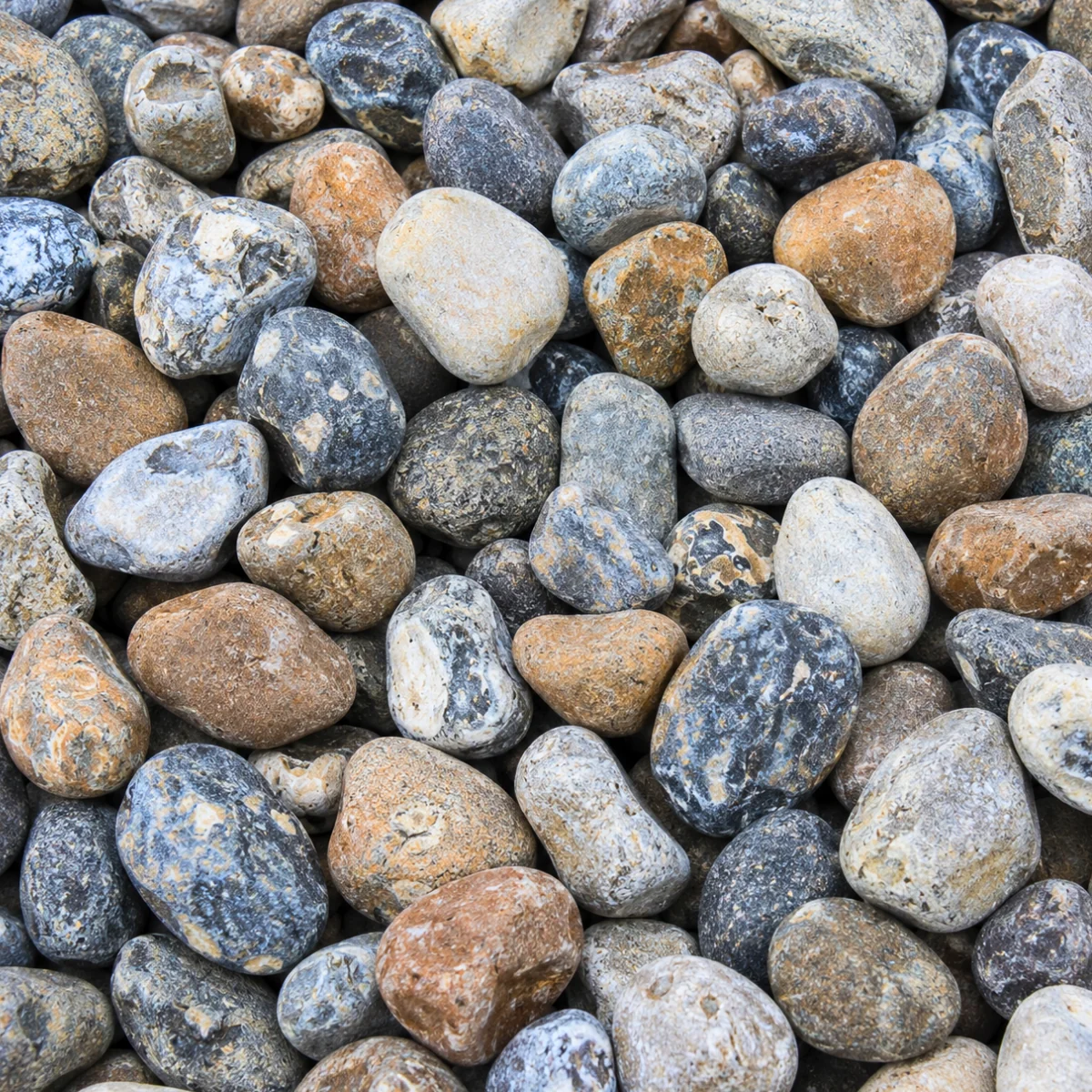 Lydd Beach Oyster Cobbles 50-100mm