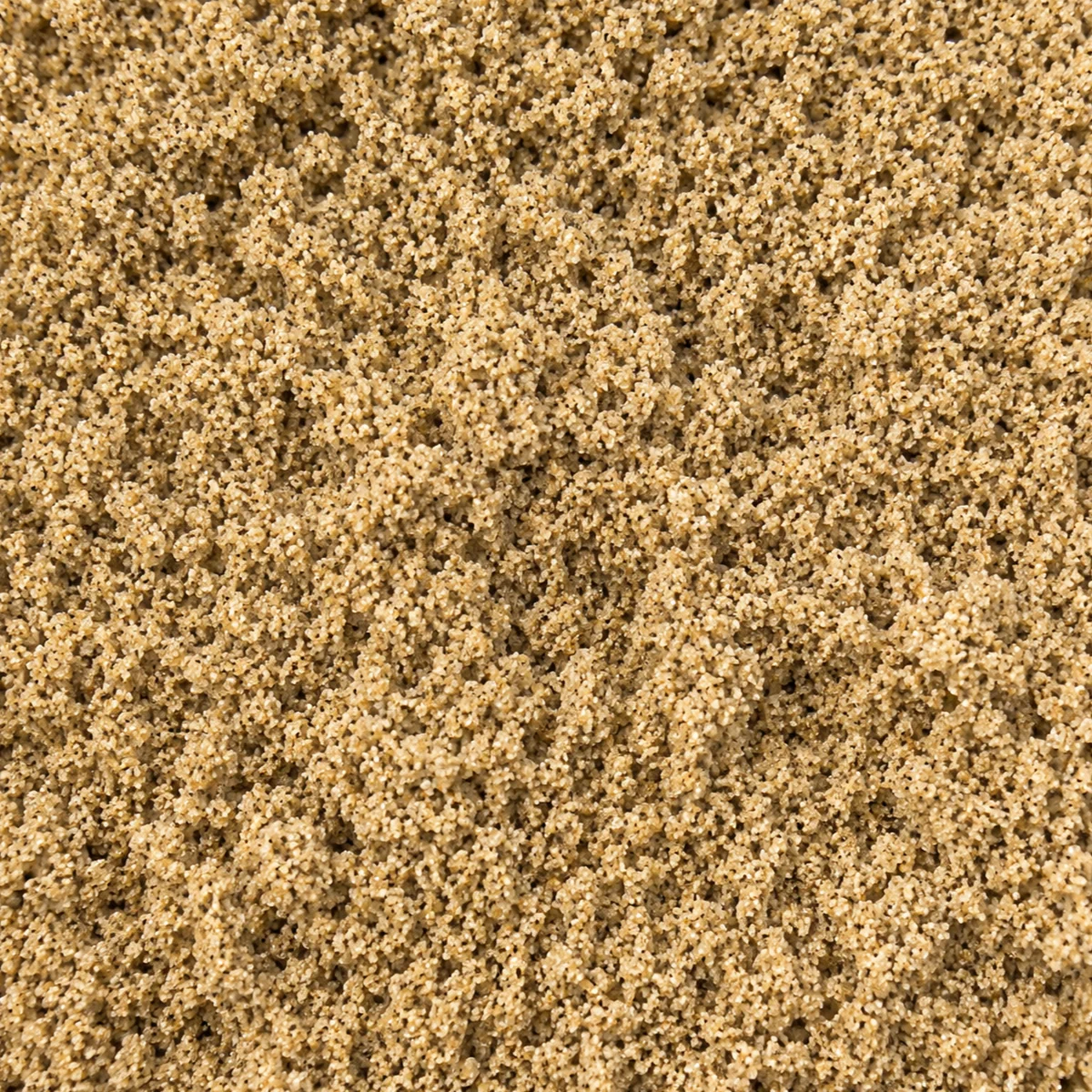 Premium Bunker Sand
