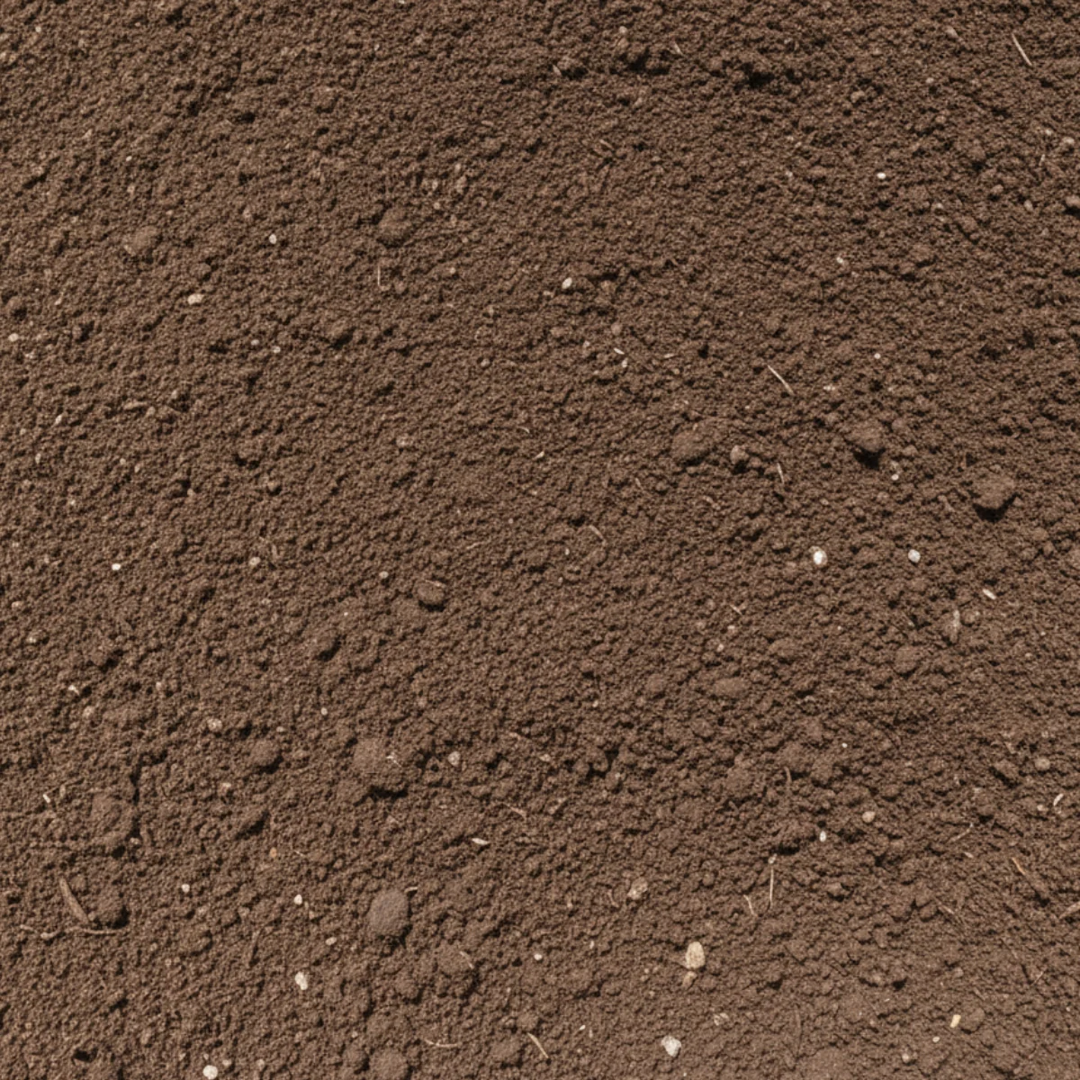 Screened Topsoil