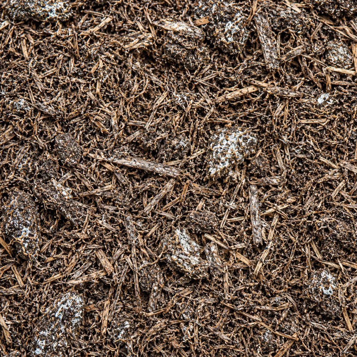 Spent Mushroom Compost